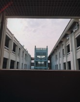 鏡頭下的“嘉園”