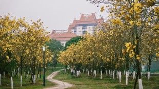 思“嘉園”，頌“嘉”景,，憶“嘉”人,，懷“嘉”事