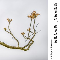 黃葉頌詩文