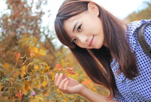 挽一抹芳香